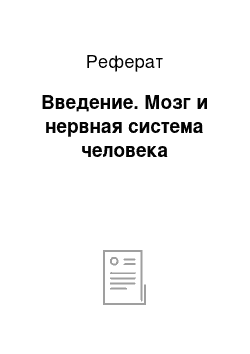 Реферат: Введение. Мозг и нервная система человека