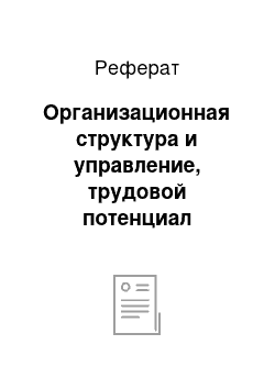 Реферат: Организационная структура и управление, трудовой потенциал