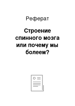 Реферат: Строение спинного мозга или почему мы болеем?