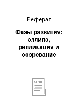 Реферат: Фазы развития: эллипс, репликация и созревание