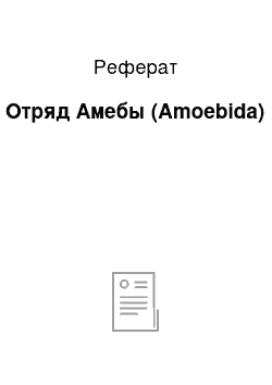 Реферат: Отряд Амебы (Amoebida)