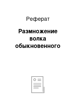 Реферат: Размножение волка обыкновенного