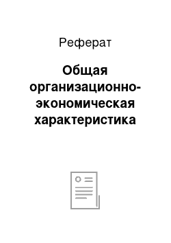 Реферат: Общая организационно-экономическая характеристика