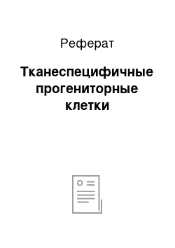 Реферат: Тканеспецифичные прогениторные клетки