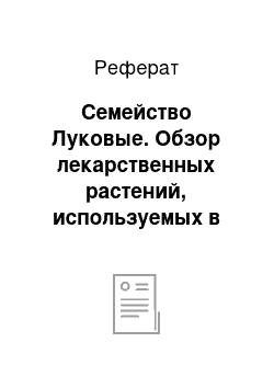 Реферат: Семейство Луковые. Обзор лекарственных растений, используемых в качестве приправ, их влияние на организм человека