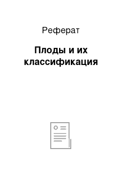 Реферат: Плоды и их классификация