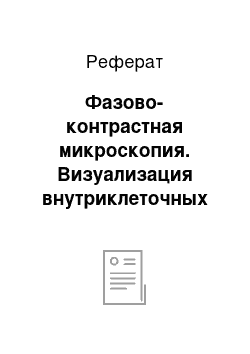 Реферат: Фазово-контрастная микроскопия. Визуализация внутриклеточных структур микроорганизмов с помощью световой микроскопии