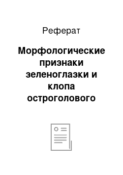 Реферат: Морфологические признаки зеленоглазки и клопа остроголового