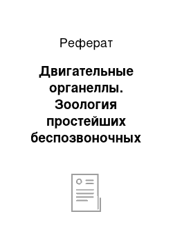 Реферат: Двигательные органеллы. Зоология простейших беспозвоночных