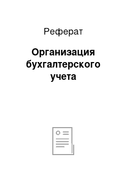 Реферат: Организация бухгалтерского учета