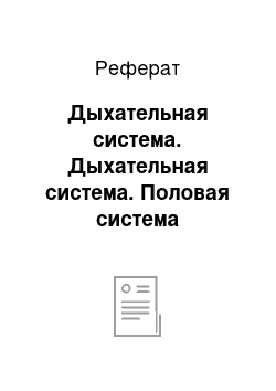 Реферат: Дыхательная система. Дыхательная система. Половая система