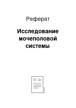 Реферат: Исследование мочеполовой системы