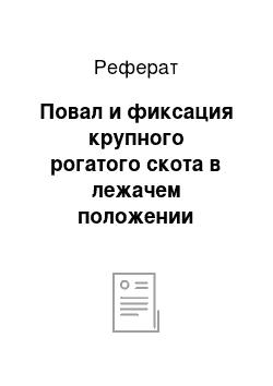 Реферат: Повал и фиксация крупного рогатого скота в лежачем положении