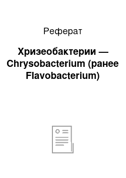 Реферат: Хризеобактерии — Chrysobacterium (ранее Flavobacterium)