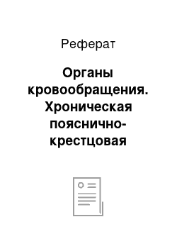 Реферат: Органы кровообращения. Хроническая пояснично-крестцовая радикулопатия