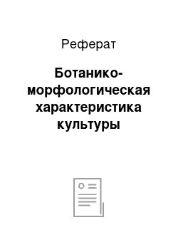 Реферат: Ботанико-морфологическая характеристика культуры