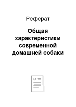 Реферат: Общая характеристики современной домашней собаки