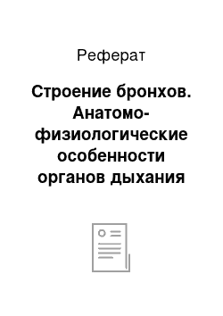 Реферат: Строение бронхов. Анатомо-физиологические особенности органов дыхания