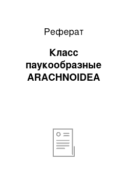 Реферат: Класс паукообразные ARACHNOIDEA