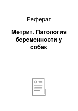 Реферат: Метрит. Патология беременности у собак