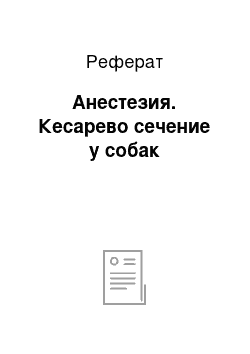 Реферат: Анестезия. Кесарево сечение у собак