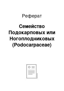 Реферат: Семейство Подокарповых или Ногоплодниковых (Podocarpaceae)