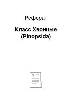 Реферат: Класс Хвойные (Pinopsida)