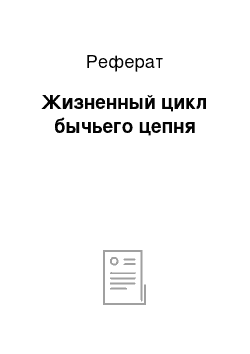 Реферат: Жизненный цикл бычьего цепня