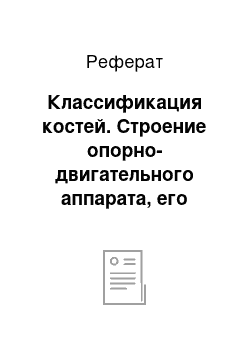 Реферат: Классификация костей. Строение опорно-двигательного аппарата, его значение