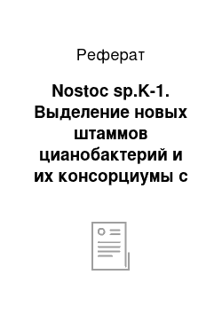 Реферат: Nostoc sp.K-1. Выделение новых штаммов цианобактерий и их консорциумы с микроводорослями