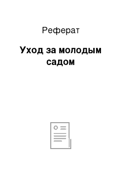 Реферат: Уход за молодым садом