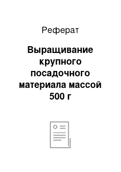 Реферат: Выращивание крупного посадочного материала массой 500 г