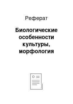 Реферат: Биологические особенности культуры, морфология