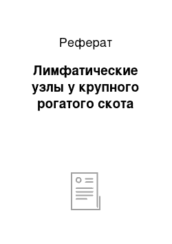 Реферат: Лимфатические узлы у крупного рогатого скота