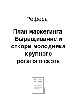 Реферат: План маркетинга. Выращивание и откорм молодняка крупного рогатого скота