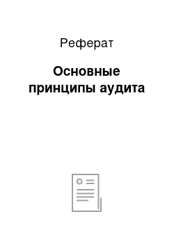 Реферат: Основные принципы аудита