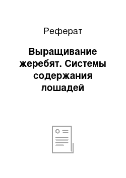 Реферат: Выращивание жеребят. Системы содержания лошадей