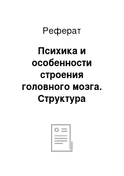 Реферат: Психика и особенности строения головного мозга. Структура психики