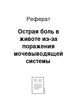 Реферат: Острая боль в животе из-за поражения мочевыводящей системы