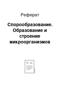 Реферат: Спорообразование. Образование и строение микроорганизмов