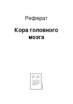 Реферат: Кора головного мозга