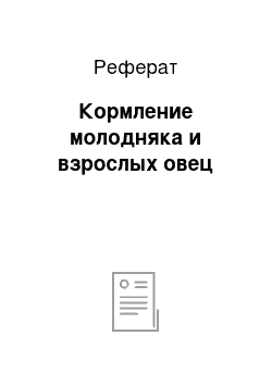 Реферат: Кормление молодняка и взрослых овец