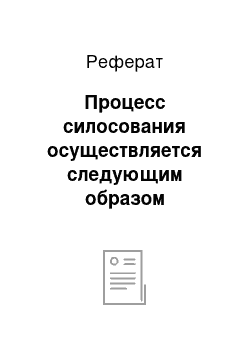 Реферат: Процесс силосования осуществляется следующим образом