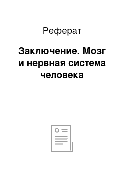 Реферат: Заключение. Мозг и нервная система человека