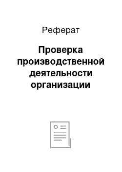 Реферат: Проверка производственной деятельности организации