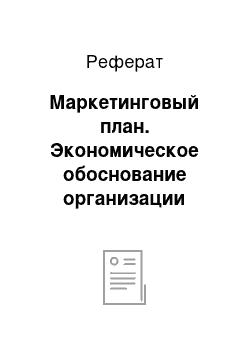 Реферат: Маркетинговый план. Экономическое обоснование организации информационного центра