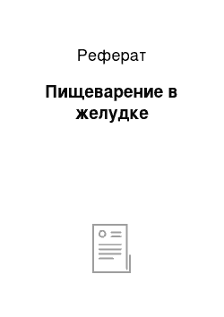 Реферат: Пищеварение в желудке