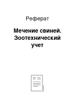 Реферат: Мечение свиней. Зоотехнический учет