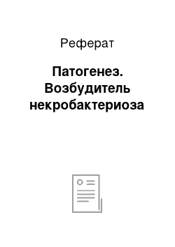 Реферат: Патогенез. Возбудитель некробактериоза