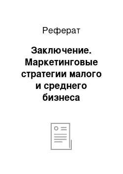 Реферат: Заключение. Маркетинговые стратегии малого и среднего бизнеса